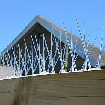 Home - Prime Netting Bird Spikes Installation Services in Hyderabad and Throughout Telangana