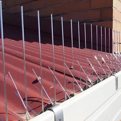 Prime Netting Offers Premium Quality Stainless Steel Anti Bird Spikes and Anti Pigeon Spikes in Hyderabad and Telangana