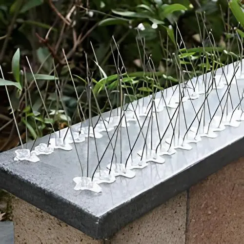 Prime Netting Offers Premium Quality Stainless Steel Anti Bird Spikes and Pigeon Spikes in Hyderabad and Telangana