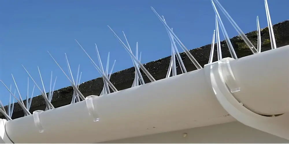 Prime Netting Offers Premium Stainless Steel Anti Bird Spikes and Anti Pigeon Spikes in Hyderabad and Telangana